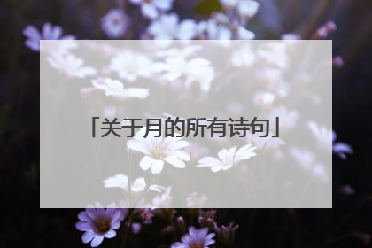 关于月的所有诗句