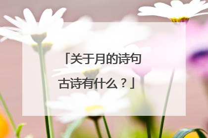 关于月的诗句古诗有什么？