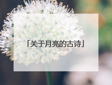 关于月亮的古诗