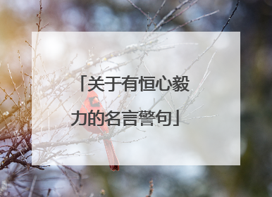 关于有恒心毅力的名言警句