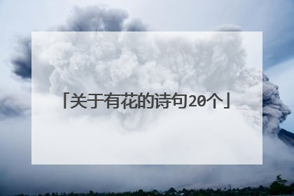关于有花的诗句20个