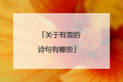 关于有雪的诗句有哪些