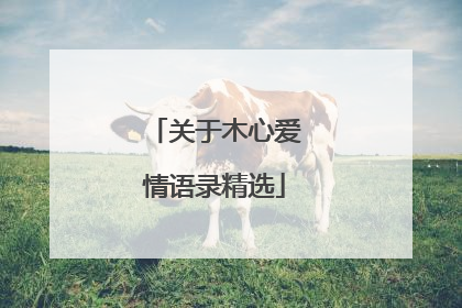关于木心爱情语录精选