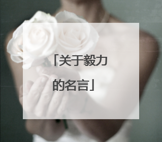 关于毅力的名言