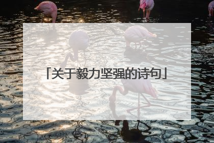 关于毅力坚强的诗句
