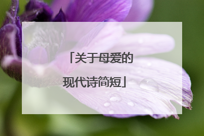 关于母爱的现代诗简短