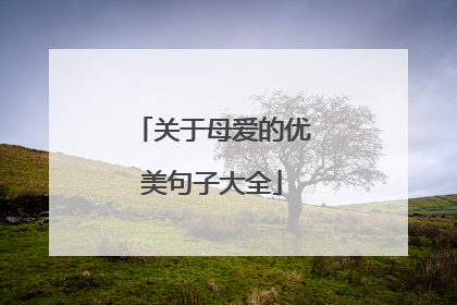 关于母爱的优美句子大全