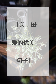 关于母爱的优美句子