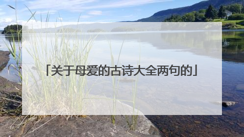 关于母爱的古诗大全两句的
