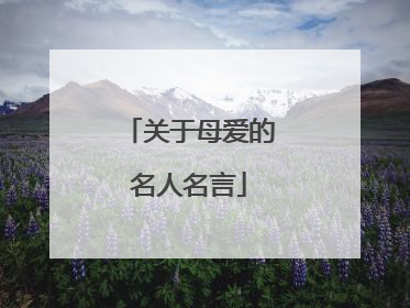 关于母爱的名人名言
