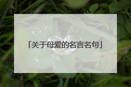 关于母爱的名言名句
