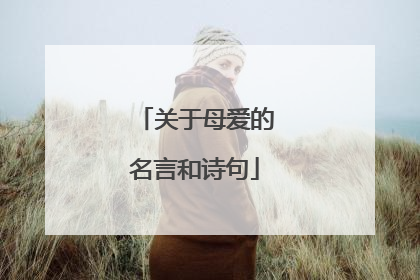 关于母爱的名言和诗句