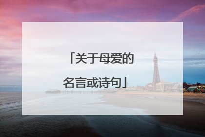 关于母爱的名言或诗句