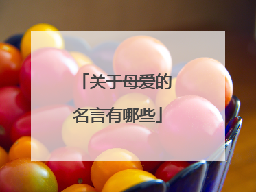 关于母爱的名言有哪些