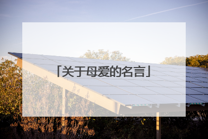 关于母爱的名言