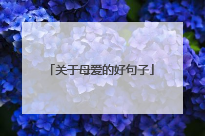 关于母爱的好句子