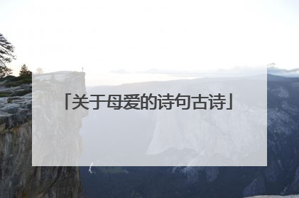 关于母爱的诗句古诗