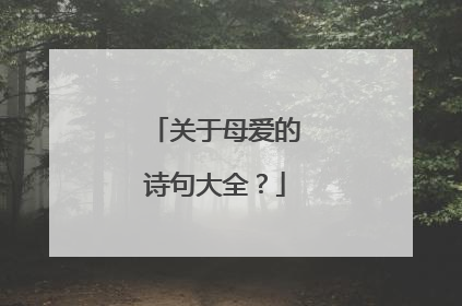 关于母爱的诗句大全？