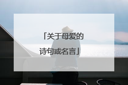 关于母爱的诗句或名言