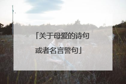 关于母爱的诗句或者名言警句