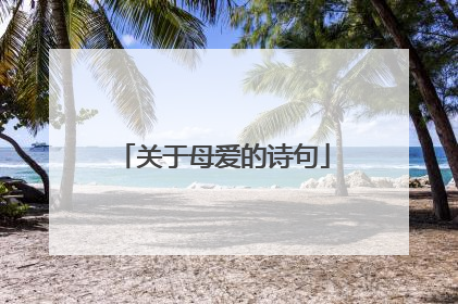 关于母爱的诗句