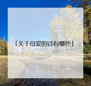 关于母爱的诗有哪些