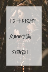 关于母爱作文800字满分新颖