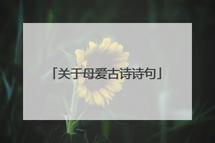 关于母爱古诗诗句