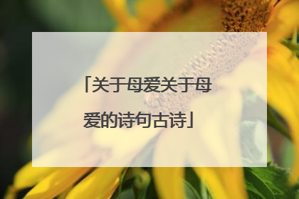 关于母爱关于母爱的诗句古诗