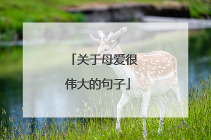 关于母爱很伟大的句子