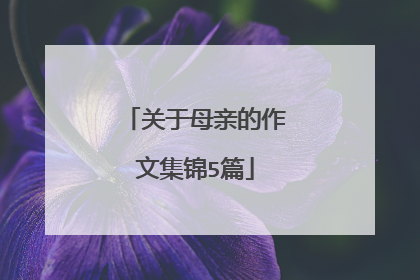 关于母亲的作文集锦5篇