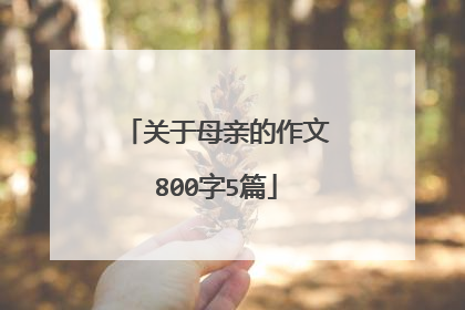 关于母亲的作文800字5篇