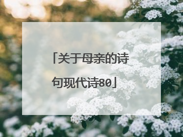 关于母亲的诗句现代诗80