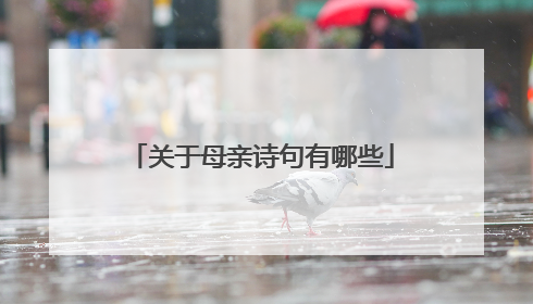 关于母亲诗句有哪些