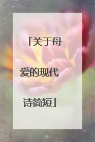 关于母爱的现代诗简短