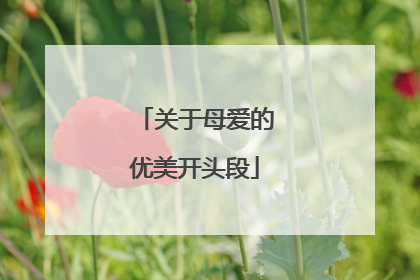关于母爱的优美开头段