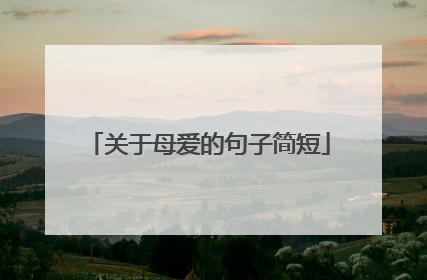 关于母爱的句子简短