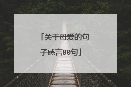 关于母爱的句子感言80句