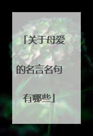 关于母爱的名言名句有哪些