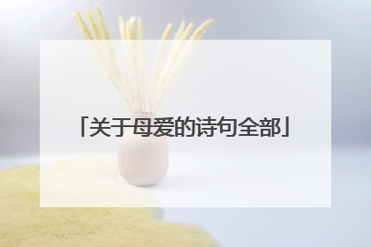 关于母爱的诗句全部