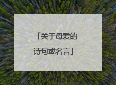 关于母爱的诗句或名言