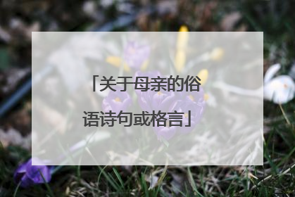 关于母亲的俗语诗句或格言