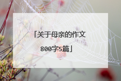 关于母亲的作文800字5篇
