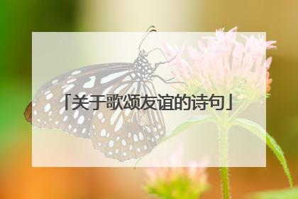 关于歌颂友谊的诗句