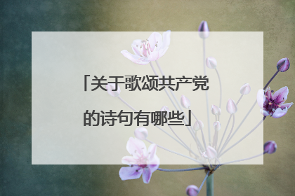 关于歌颂共产党的诗句有哪些