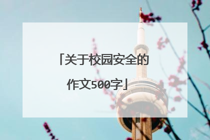 关于校园安全的作文500字