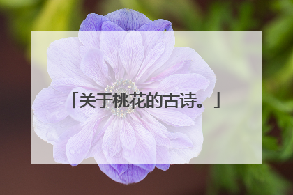 关于桃花的古诗。