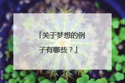 关于梦想的例子有哪些?