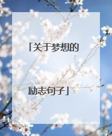 关于梦想的励志句子