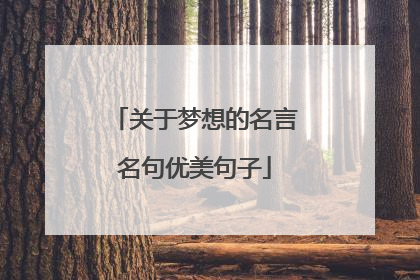 关于梦想的名言名句优美句子